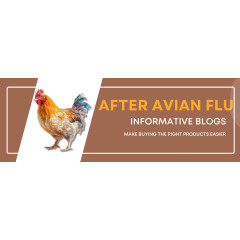 After Avian Flu | Consumer Education | AgBlogs After Avian Flu | Consumer Education | AgBlogs