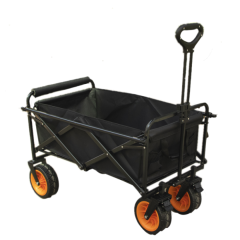 Dragon Daily Trolley