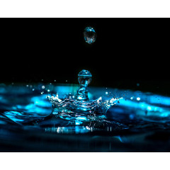 Pascali Pumps - Ensuring you choose the right pump | Product Education | AgBlogs